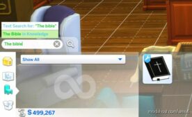 Sims 4 Object Mod: Functional Bible (Image #3)