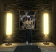 Hoodie For MP Female for Grand Theft Auto V