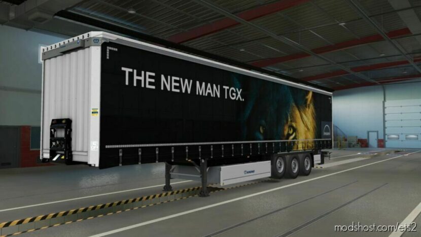 “THE NEW MAN TGX” Painting For Trailers for Euro Truck Simulator 2