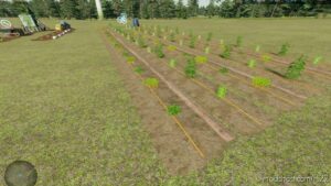 Greenhouses (Revamp) V1.5 for Farming Simulator 22