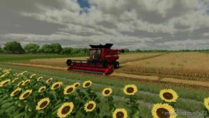 Beware Of Straw V1.0.1.1 for Farming Simulator 22