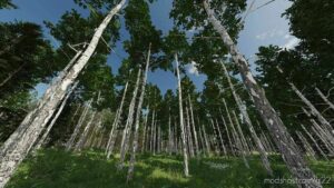 FS22 Object Mod: Karhuvaara Tree Pack (Prefab) (Image #2)