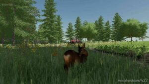 FS22 Map Mod: Eastern North Carolina USA V1.2.0.1 (Image #6)