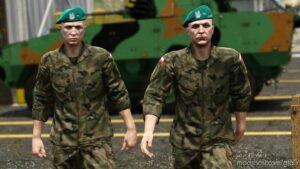 GTA 5 Player Mod: Polish Armed Forces Uniforms (Image #2)