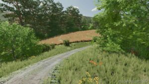 FS22 Mod: Poland Map V0.9 (Image #18)