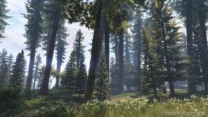 GTA 5 Mod: Forests Of SAN Andreas: Revised Add-On | Ymap | YMT | Cargen | Lods | OIV | SP | Fivem V4.3 (Image #3)