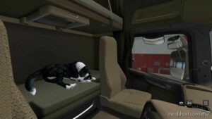 ETS2 Mod: DOG With Animation V1.0.1 (Image #2)