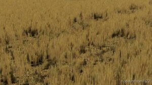 FS22 Textures Mod: High Wheat Stubble With Compaction (Image #2)