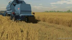 Barley And Wheat Textures for Farming Simulator 22