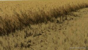 FS22 Mod: Barley And Wheat Textures (Image #2)