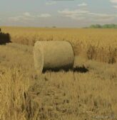 FS22 Mod: Barley And Wheat Textures (Image #4)