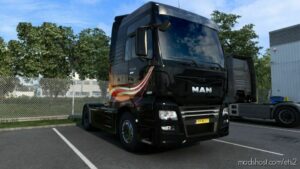 MAN TGX Euro6 Lines Skin for Euro Truck Simulator 2