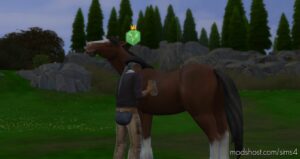“Care for Animals” club activity includes Horse Ranch interactions for Sims 4