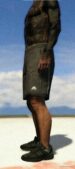 GTA 5 Player Mod: Shorts Pack For MP Male Sp/Fivem Ready (Image #2)