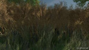 Realistic Canola Growth for Farming Simulator 22