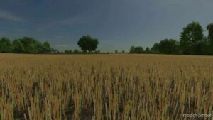 FS22 Realistic Script Mod: Canola Growth (Image #2)