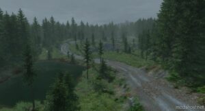 BeamNG Map Mod: Rally Forest V1.5.1 0.29 (Image #3)