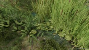 FS22 Placeable Mod: Frogs For Pond (Featured)
