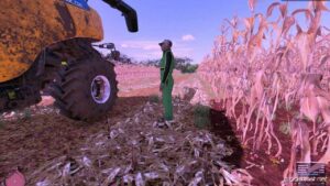 NEW Corn Texture for Farming Simulator 22