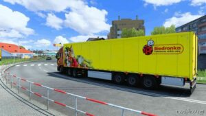 ETS2 Mod: Polish Biedronka Trailer Skin 1.48 (Image #2)