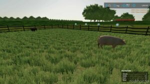 FS22 Map Mod: Country Farm Demo Mod (Image #3)