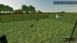 FS22 Map Mod: Country Farm Demo Mod (Image #6)