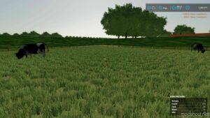 FS22 Map Mod: Country Farm Demo Mod (Image #14)