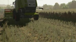 Textures Of Canola 2 for Farming Simulator 22
