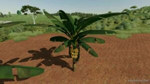 FS22 Mod: Banana Tree (Image #3)