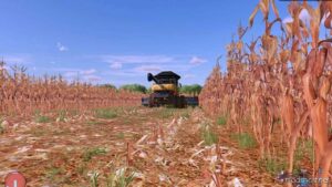 NEW Corn Texture With More Real Effects for Farming Simulator 22