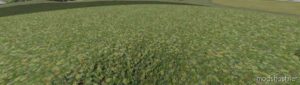 FS22 Object Mod: Flowering Cover Crop Prefab (Image #3)