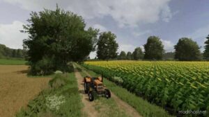 FS22 Mod: Piastów Map V2.0 (Image #5)