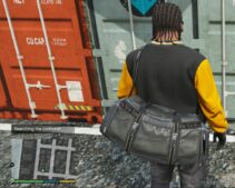 GTA 5 Script Mod: Money Mission V (Image #2)