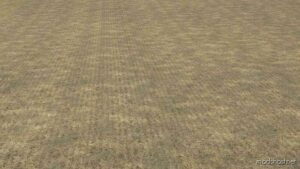 FS22 Mod: Textures Of Stubble And No-Plow Sowing After Stubble (Image #2)