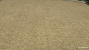 FS22 Mod: Textures Of Stubble And No-Plow Sowing After Stubble (Image #3)