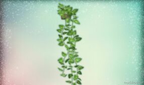 Arran – Plant for Sims 4