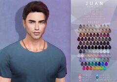 Juan – Hairstyle for Sims 4