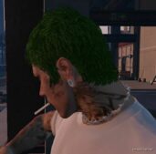 GTA 5 Player Mod: Simple EAR Expander For MP Male And Female (P Ears) V2.0 (Image #3)