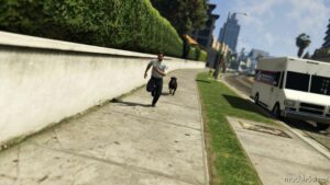 USP (United States Post) Minipack [Add-On] for Grand Theft Auto V