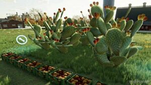 FS22 Placeable Mod: Prickly Pear Cactus (Image #3)