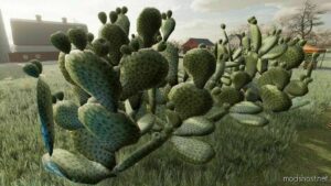 FS22 Placeable Mod: Prickly Pear Cactus (Image #6)