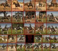 RDR2 Mod: Realistic Cowboy Horses (Image #5)