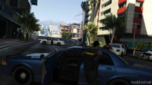 GTA 5 Mod: Wanted System Enhancement: Federal Enforcement V3.0 (Image #5)