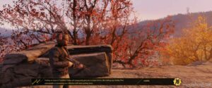 Fallout76 User Mod: Imperfect Ultrawide (Image #4)