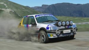 Peugeot 205 Rally for Assetto Corsa
