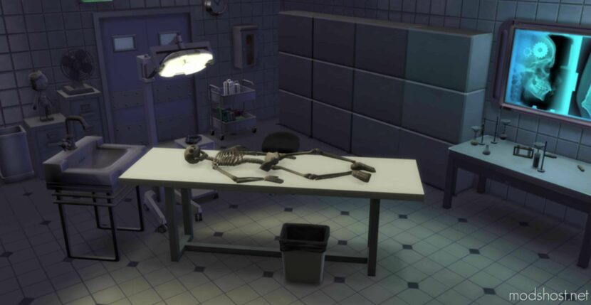 Skeletal Remains In Various States for Sims 4