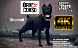 Cane Corso [4K Replace] for Grand Theft Auto V