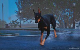 GTA 5 Player Mod: Doberman 4K (Replace) (Image #2)