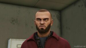 GTA 5 Player Mod: Better Trevor Phillips (Face, Beard & Hair) V1.2 (Image #2)