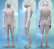 Digitigrade Werewolves (Override) for Sims 4